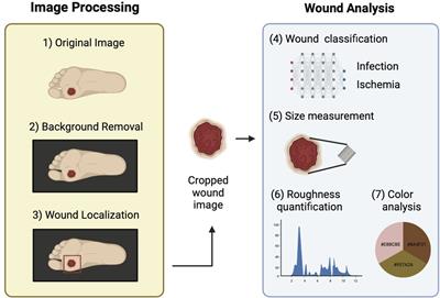 DFUCare: deep learning platform for diabetic foot ulcer detection, analysis, and monitoring